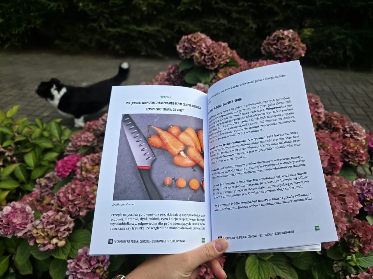 Pakiet dla właścicieli: książka + e-book + roczny dostęp do platformy Dietetyk Zwierzęcy 24 (wiedza, kalkulatory, przepisy, webinary) - obrazek 9
