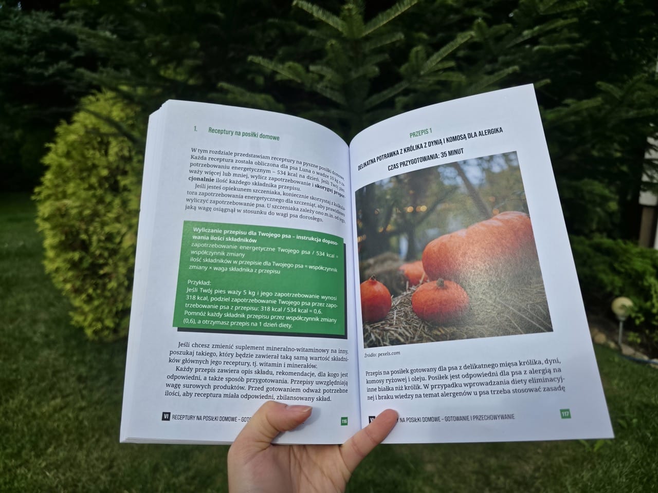 Pakiet dla właścicieli: książka + e-book + roczny dostęp do platformy Dietetyk Zwierzęcy 24 (wiedza, kalkulatory, przepisy, webinary) - obrazek 8