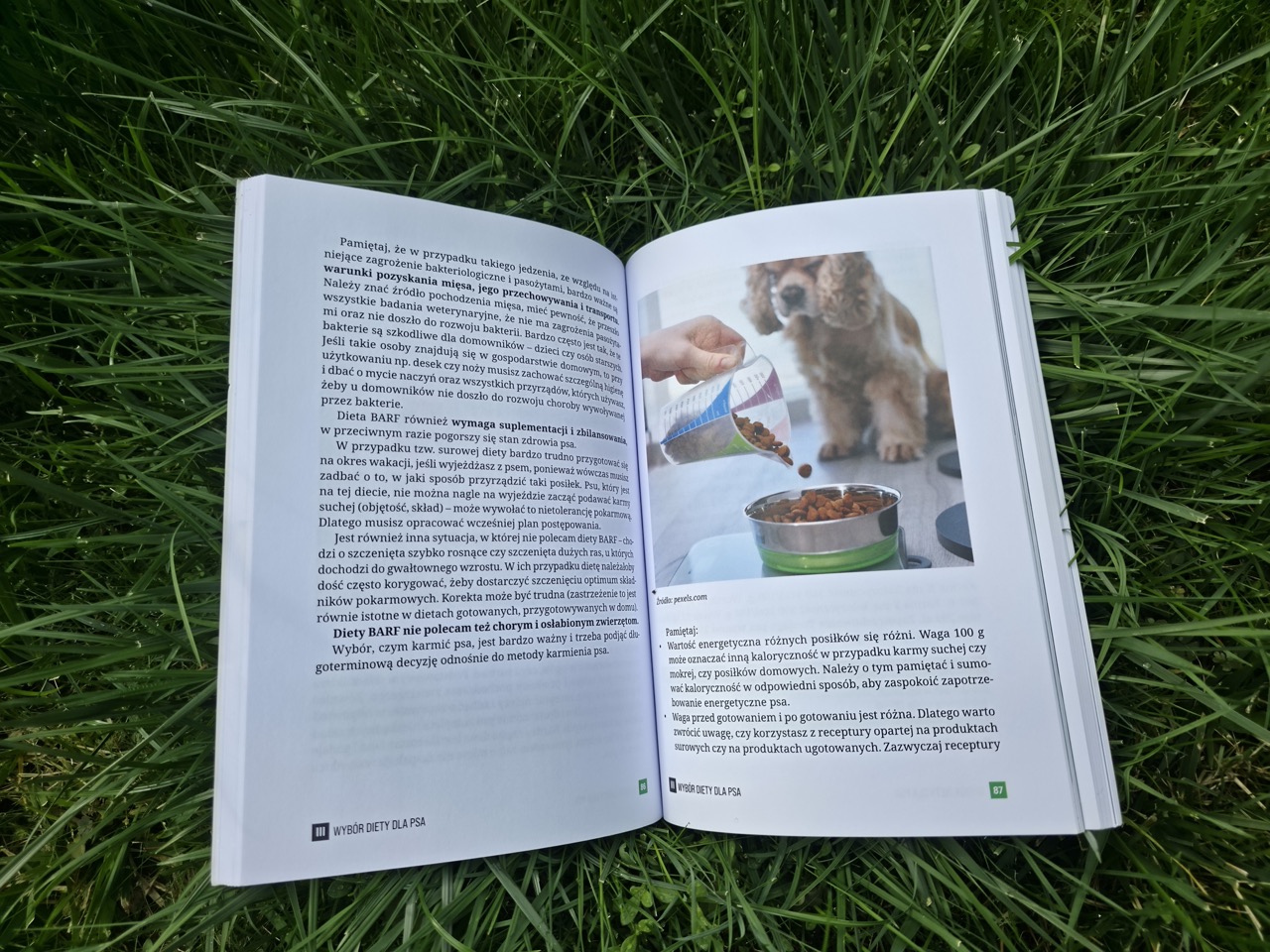 Pakiet dla właścicieli: książka + e-book + roczny dostęp do platformy Dietetyk Zwierzęcy 24 (wiedza, kalkulatory, przepisy, webinary) - obrazek 7
