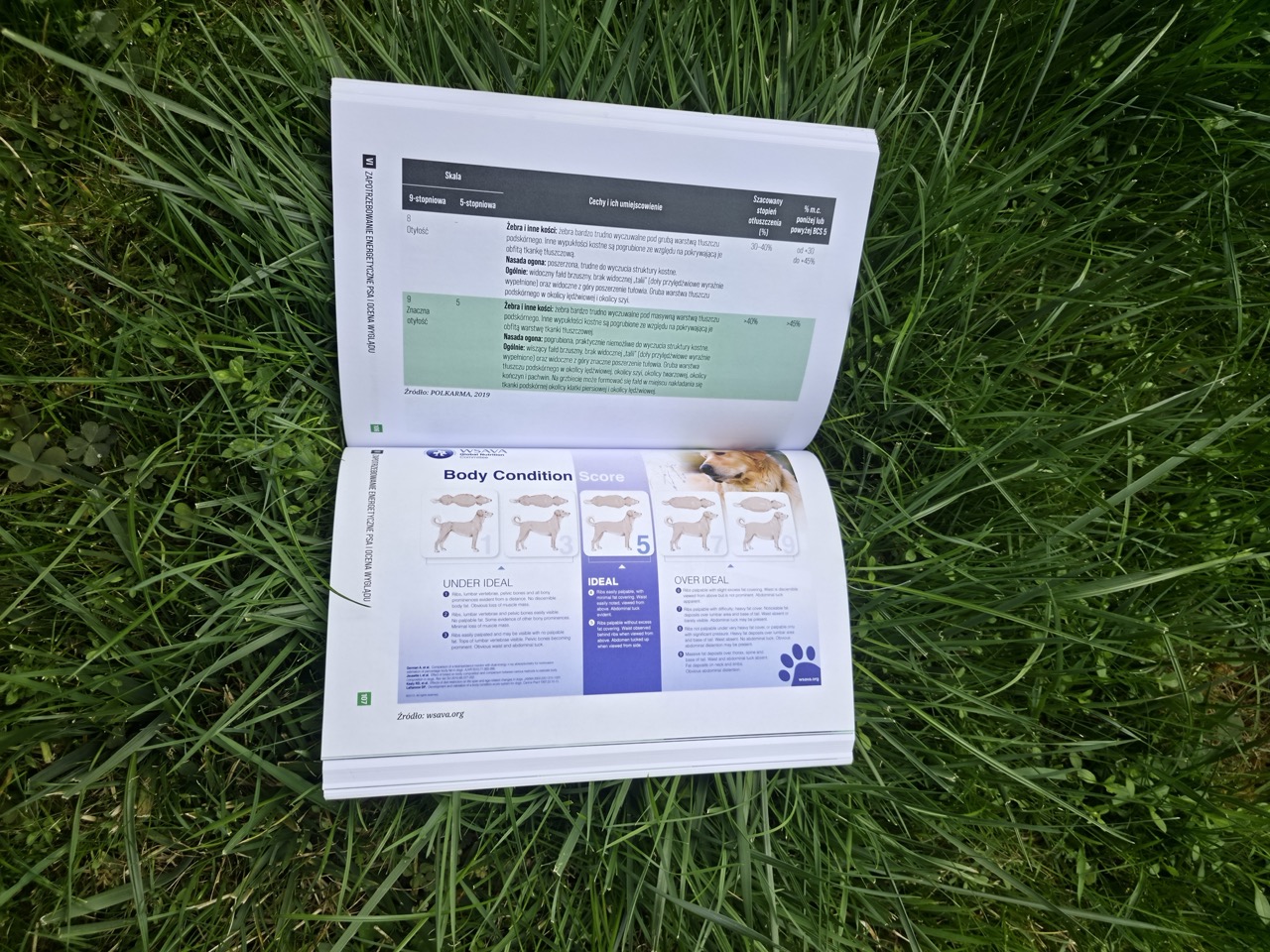 Pakiet dla właścicieli: książka + e-book + roczny dostęp do platformy Dietetyk Zwierzęcy 24 (wiedza, kalkulatory, przepisy, webinary) - obrazek 4